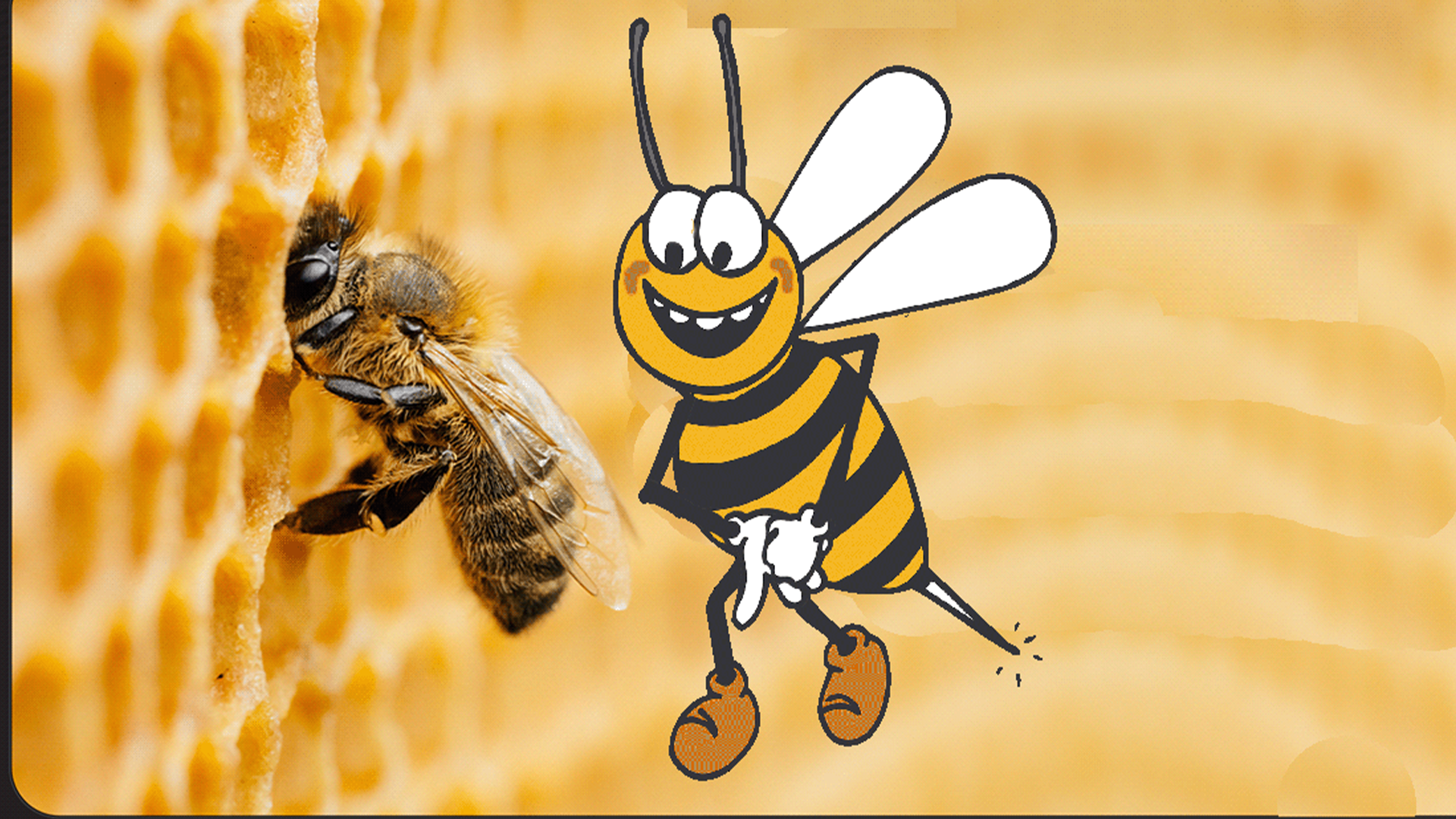 naked-beekeeper setting